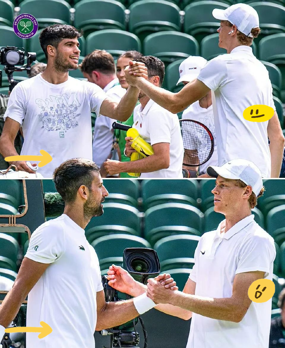 温网轻取戴维斯杯，穆雷点燃赛场