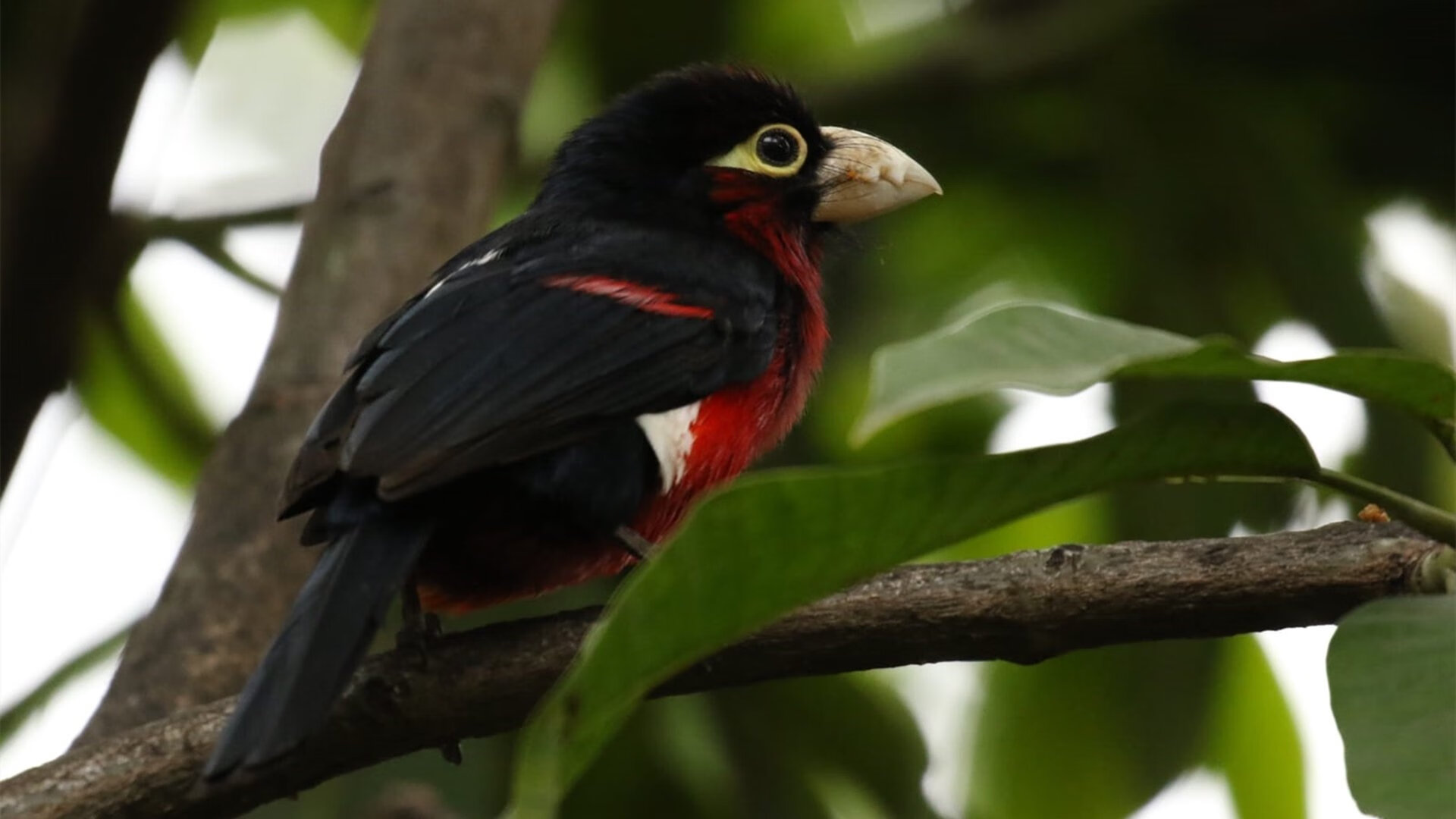 惊艳背后,横扫对手时,那声最尖锐的破冰之声