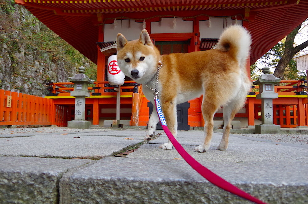 时空交错的奇迹,山西队翻盘勇士与塔图姆刷新的历史纪录