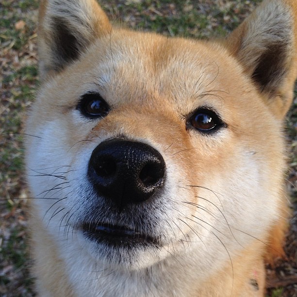 北欧寒流中的不灭龙焰，记马龙统治之夜与中国队的功败垂成
