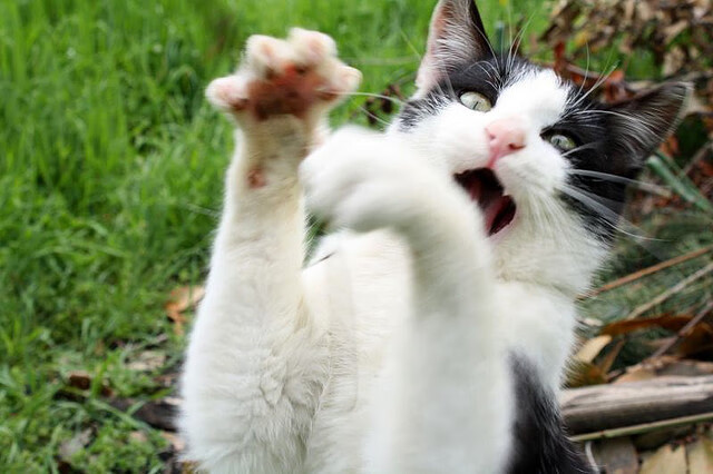 心跳归零前，利拉德的三分与马刺的提前宣判