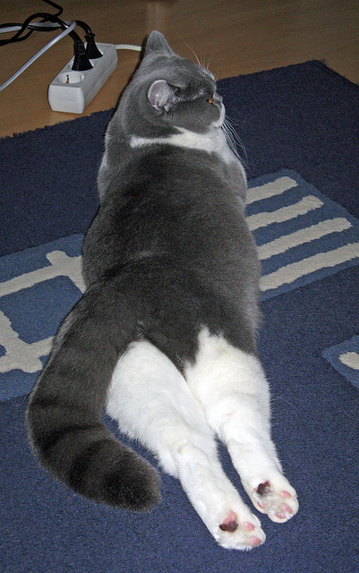 赛程冲突，当西甲冠军争夺战遇上F1年度收官战