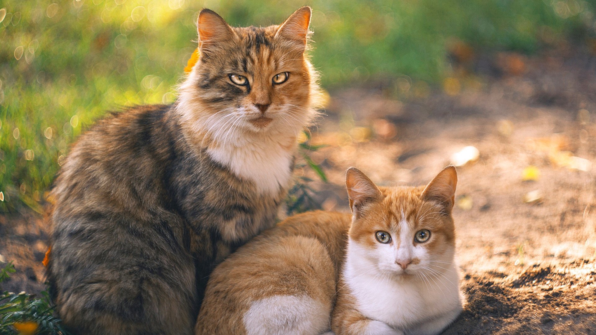 时间裂缝中的戈贝尔,当太阳照进吉林,他让每一秒都为胜利静止