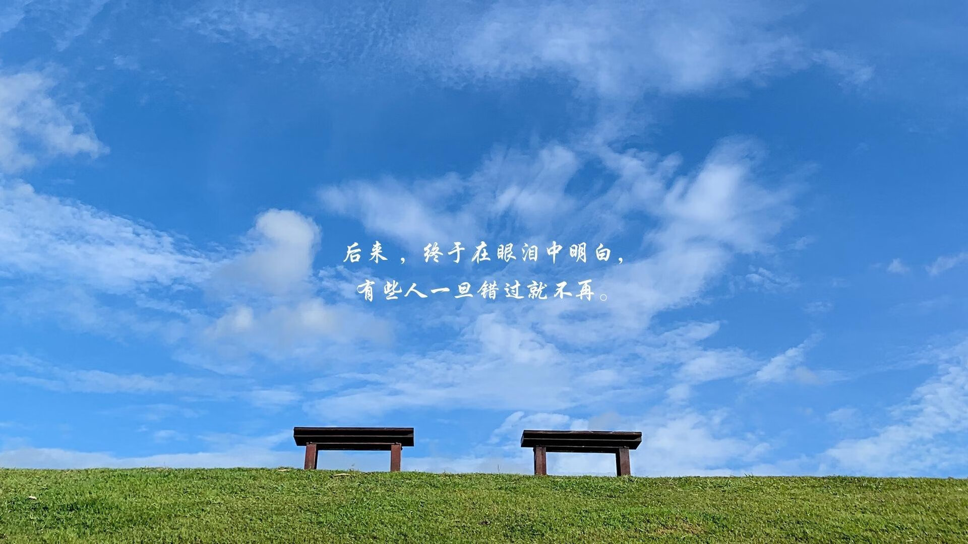 黄黑风暴席卷安联，多特蒙德用一场非典型碾压改写欧冠剧本