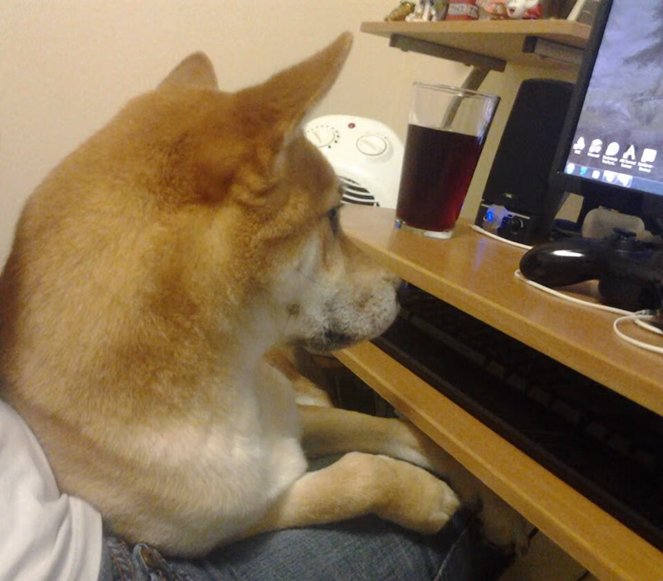 阿什拉夫的火焰与玻利维亚的寒冰，足球世界的辩证法则