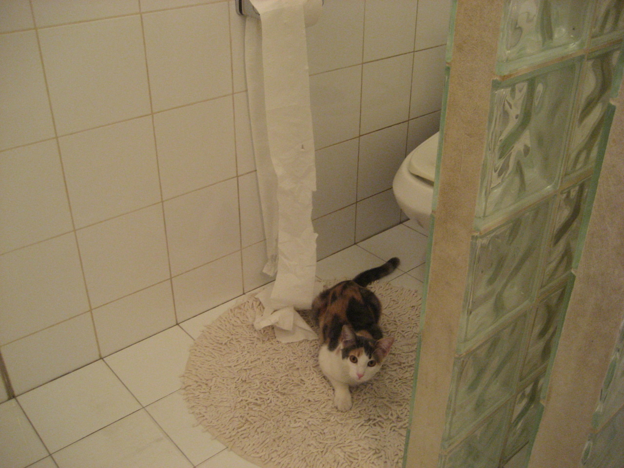 C罗爆发，阿森纳之星助葡萄牙提前终结澳大利亚悬念