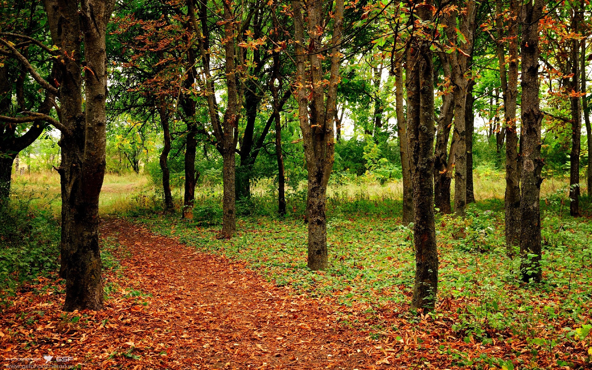 窒息美学！德国1-0稳稳拿下尼斯，福登补时手术刀直塞成关键先生