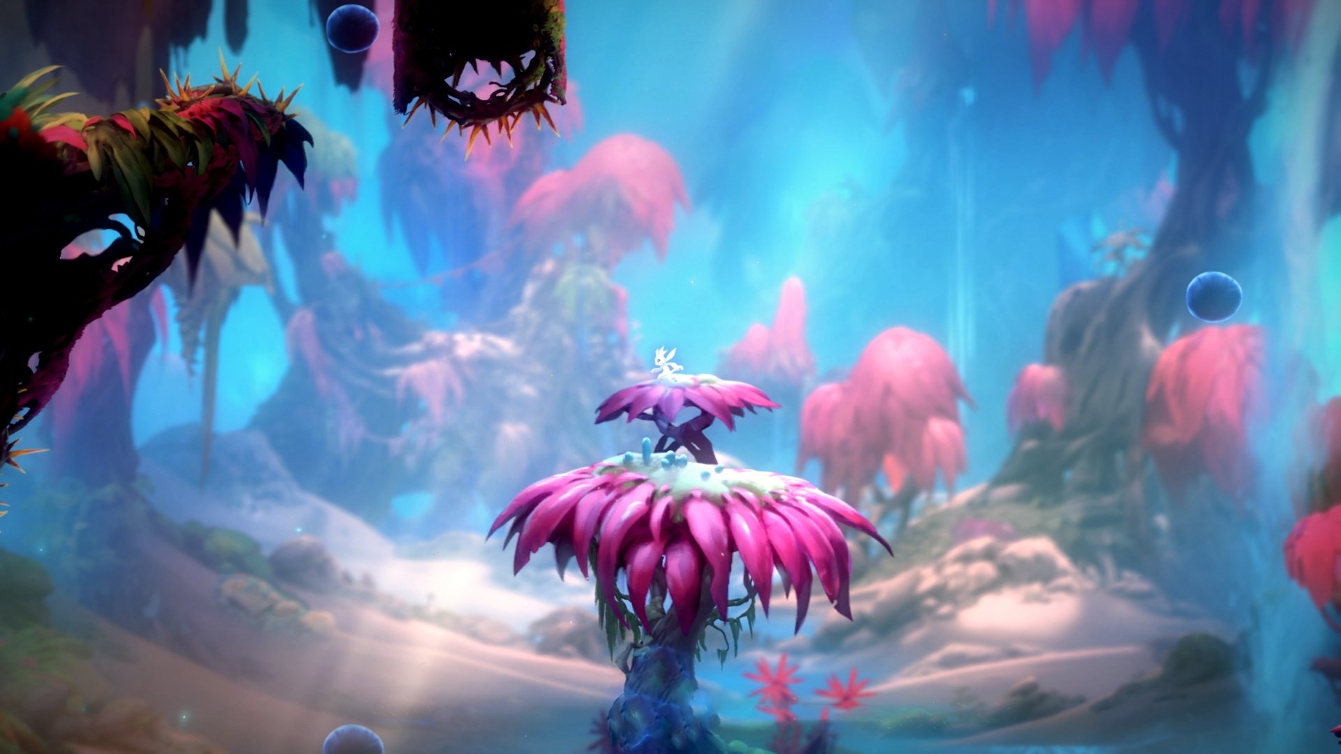 杜兰特末节狂飙19分，风城公牛窒息防守带走新疆队