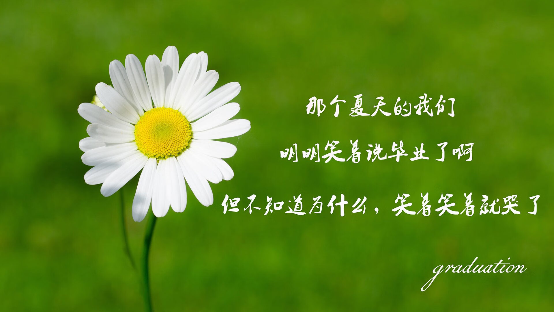 冰与火之歌,2026世界杯F组,极光军团横扫暹罗之夏,德容一剑封喉