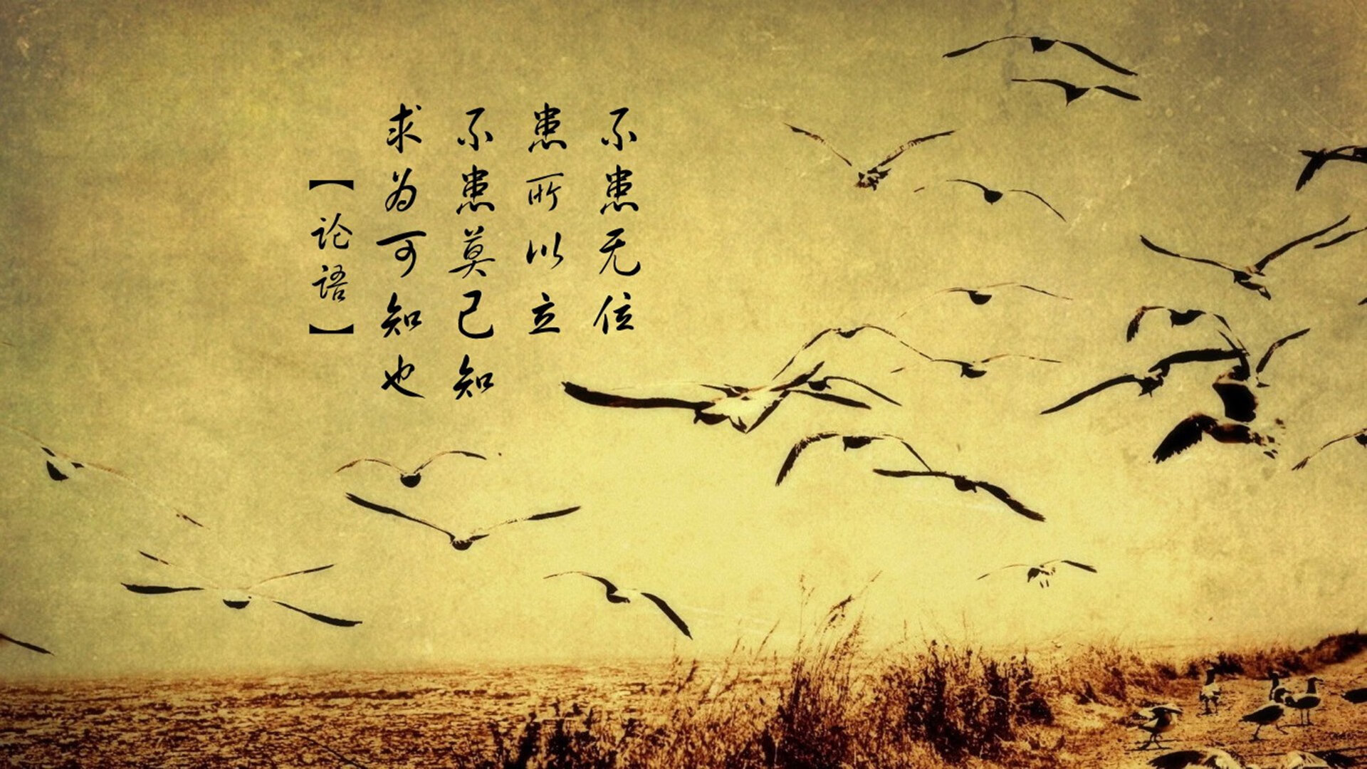单骑破局,费利克斯的魔幻左脚,为波兰在2026世界杯B组生死战写下唯一答案