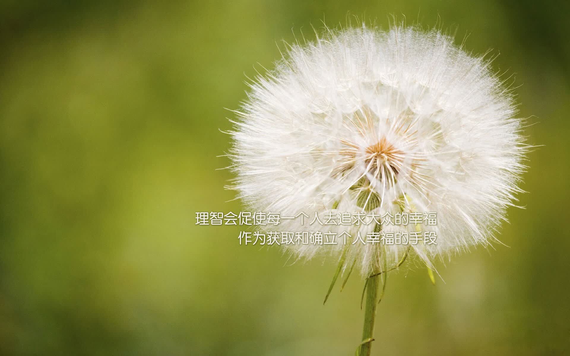 逆转之夜，防守反击的极致演绎，奥地利扼住命运的咽喉